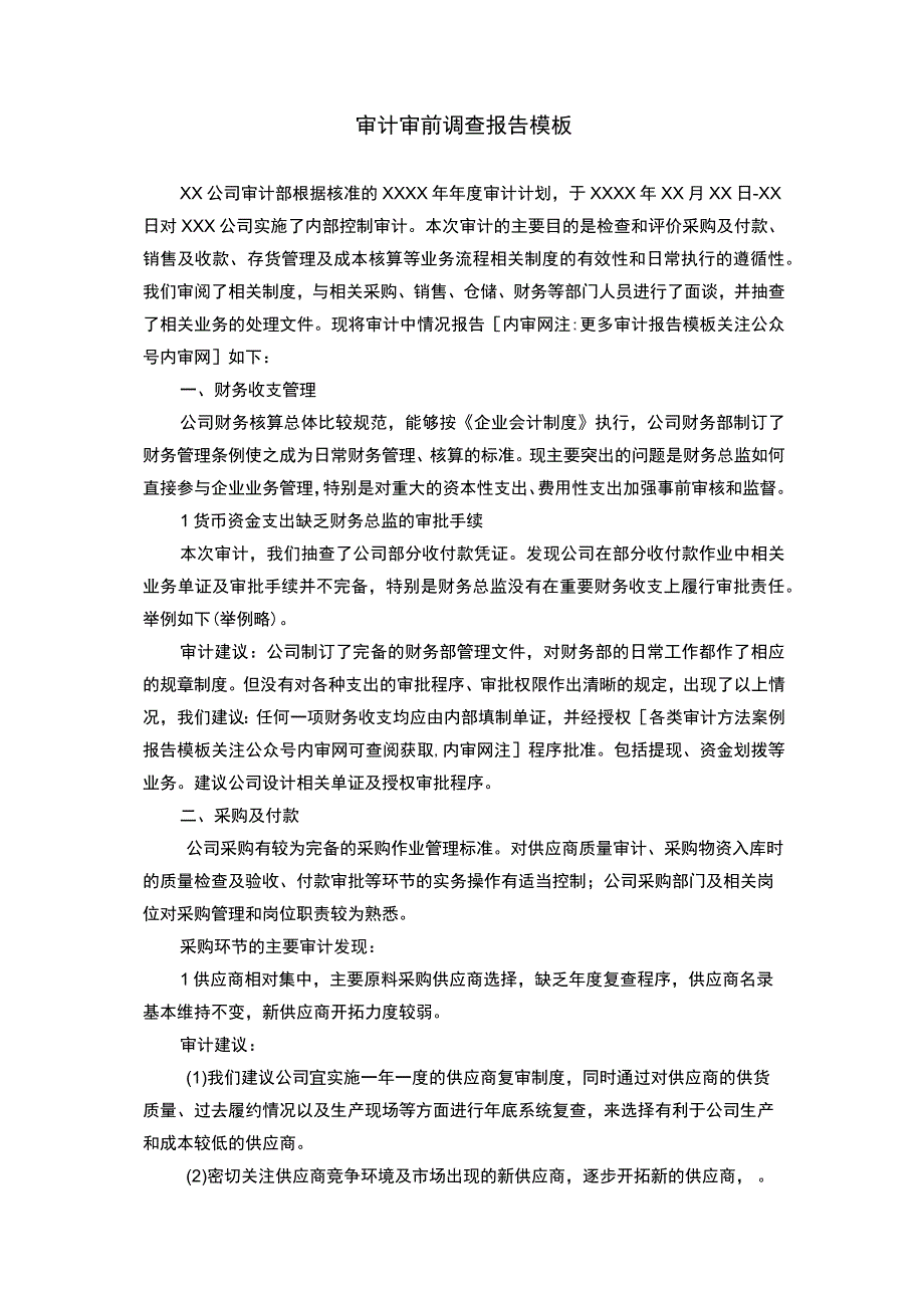 审计审前调查报告模板.docx_第1页