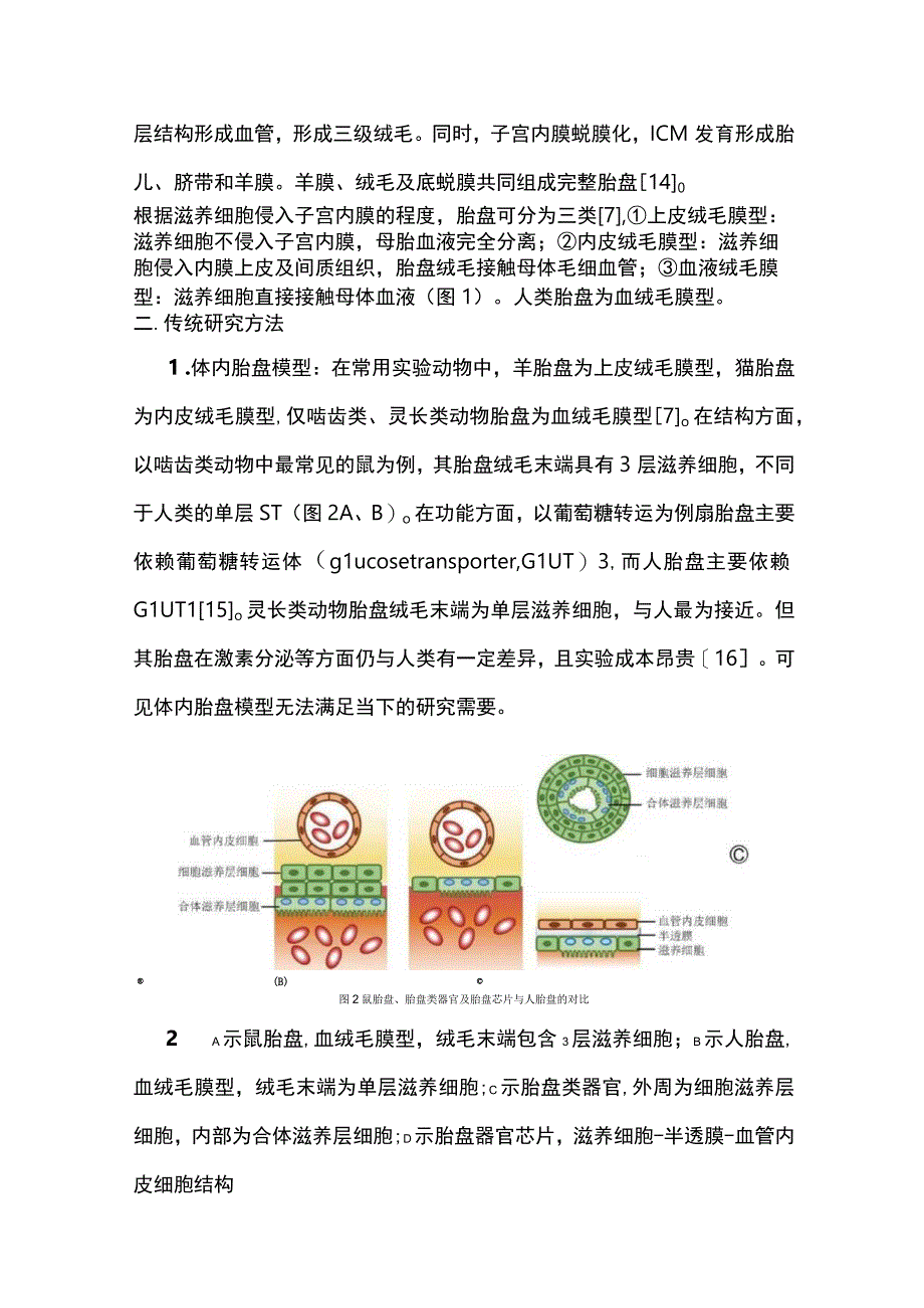 类器官及器官芯片技术在体外胎盘模型构建中的研究进展2023.docx_第3页