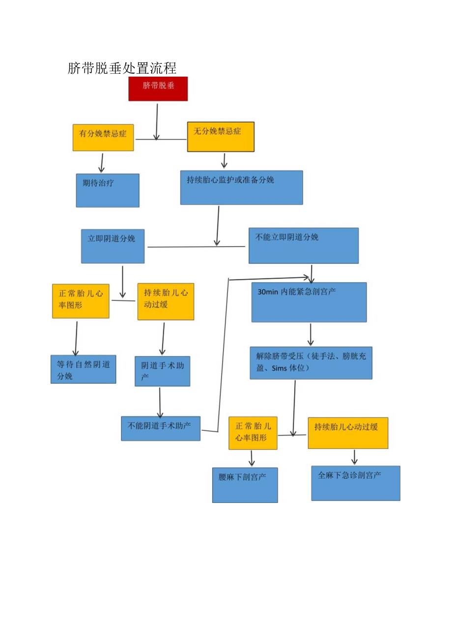 脐带脱垂应急预案.docx_第2页