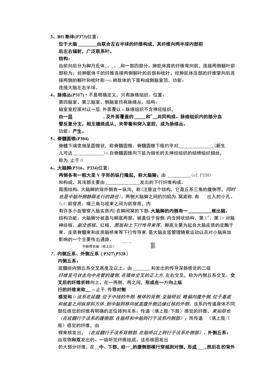 神经解剖学学习资料：神经解剖学期末总复习题27版六稿——填空版完全.docx_第2页