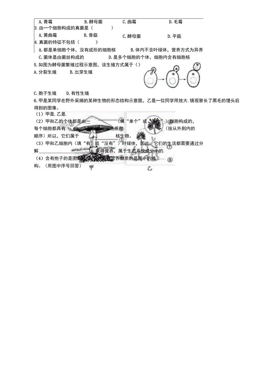 第五单元第四章第三节真菌泸州市第十五中学校陈秋容.docx_第2页