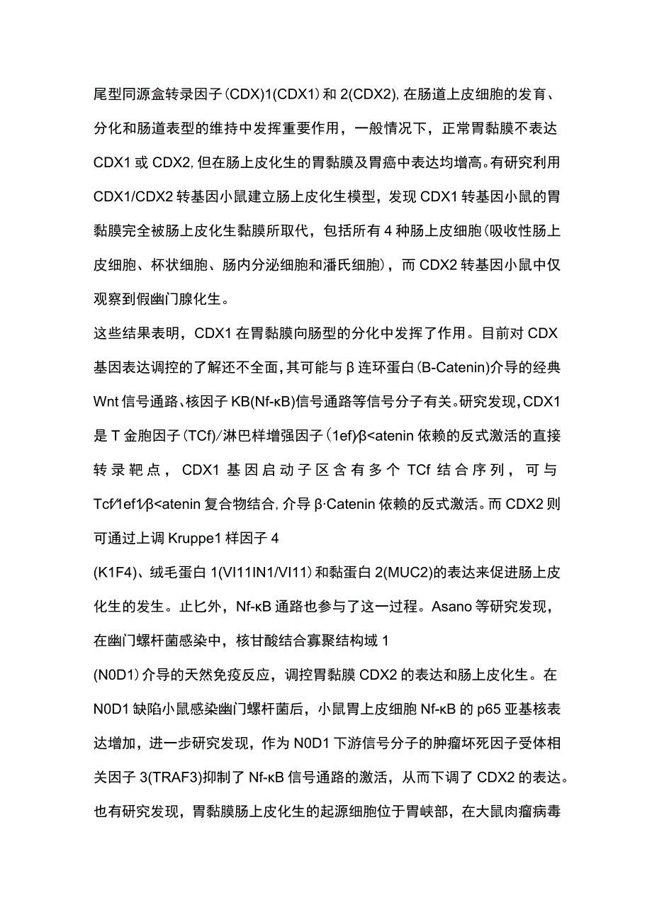 胃癌前病变的发病机制及早期胃癌筛查方法的研究进展2023.docx_第3页