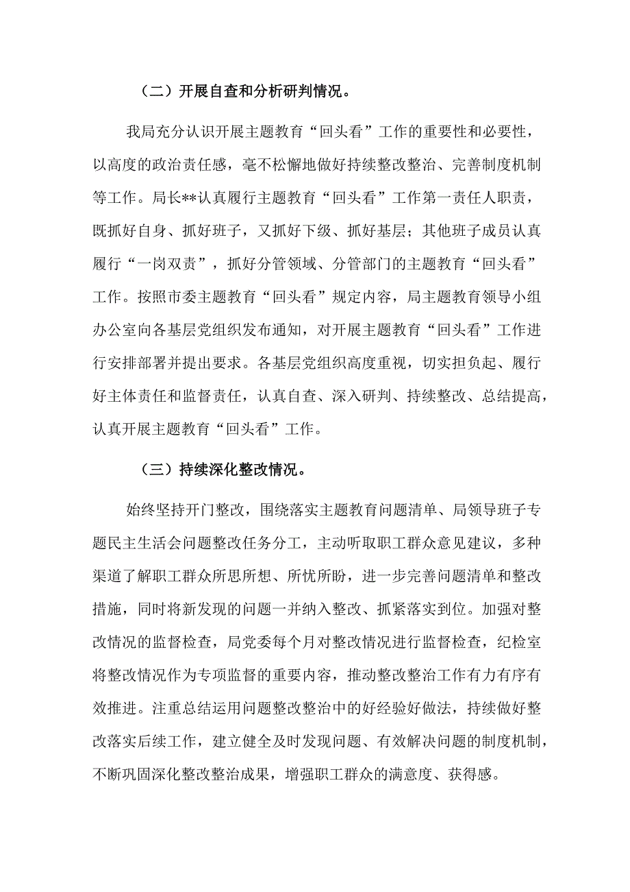 2023年主题教育整改落实“回头看”报告范文2篇.docx_第3页