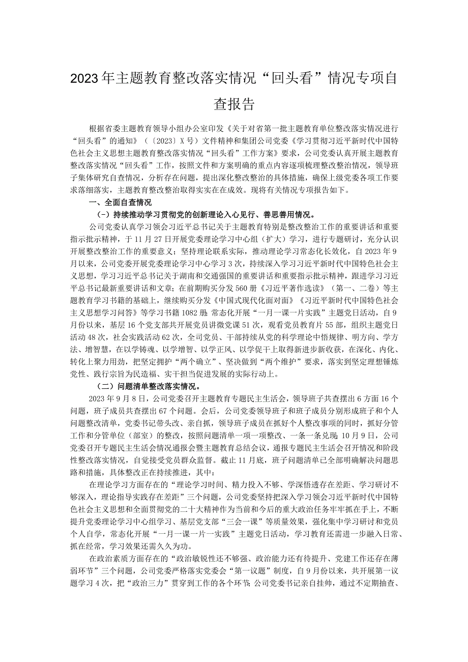 2023年主题教育整改落实情况“回头看”情况专项自查报告.docx_第1页