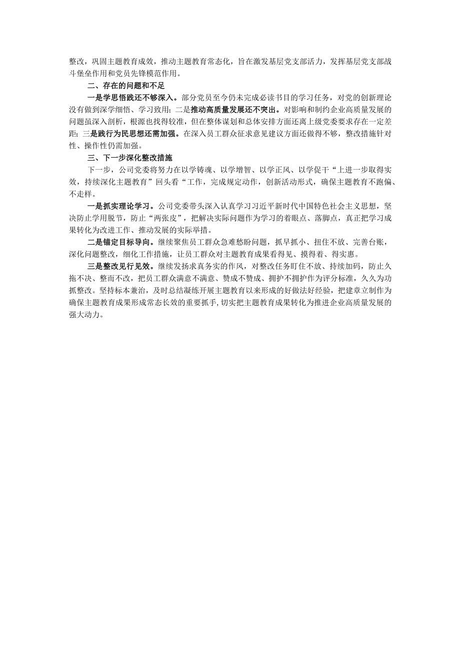 2023年主题教育整改落实情况“回头看”情况专项自查报告.docx_第3页