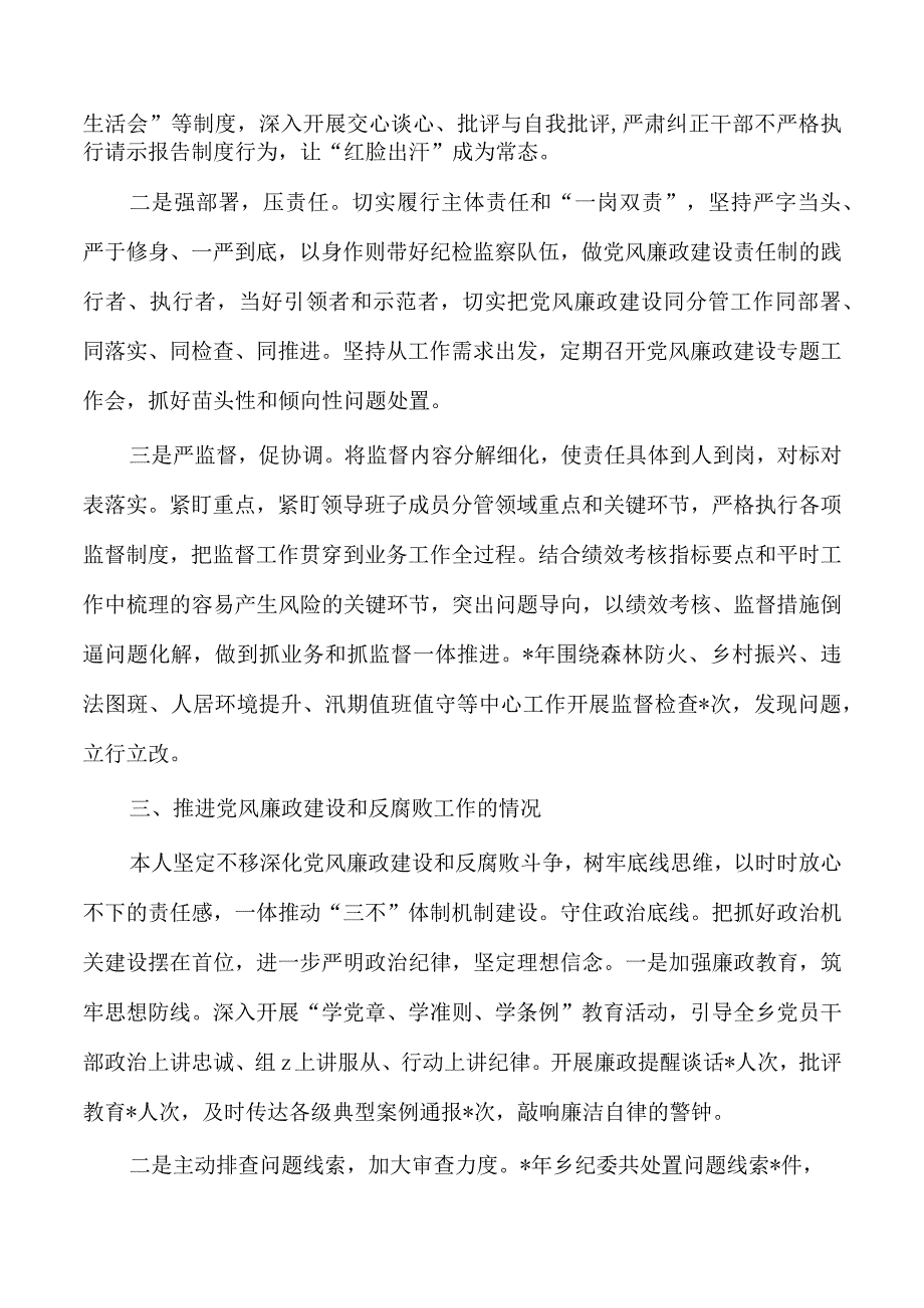 乡镇纪委个人2023年述责述职述廉.docx_第2页