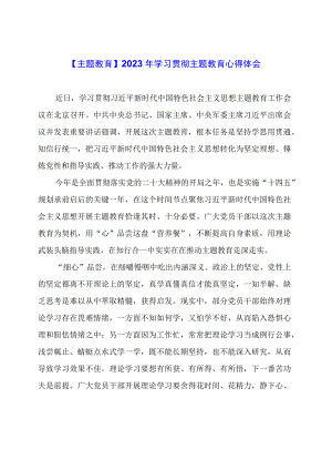 【主题教育】2023年学习贯彻主题教育心得体会.docx