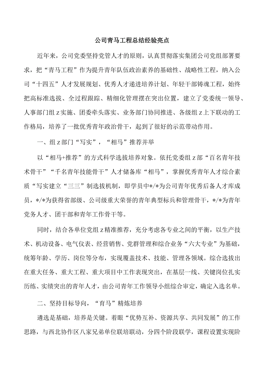 公司青马工程总结经验亮点.docx_第1页