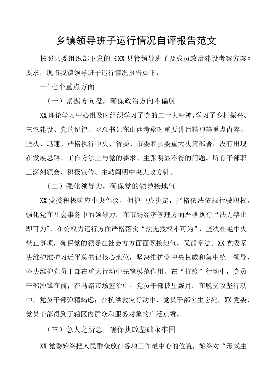 乡镇领导班子运行自评报告工作汇报总结.docx_第1页