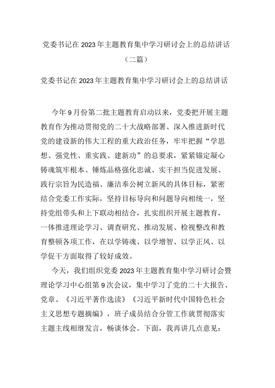 党委书记在2023年主题教育集中学习研讨会上的总结讲话(二篇).docx_第1页