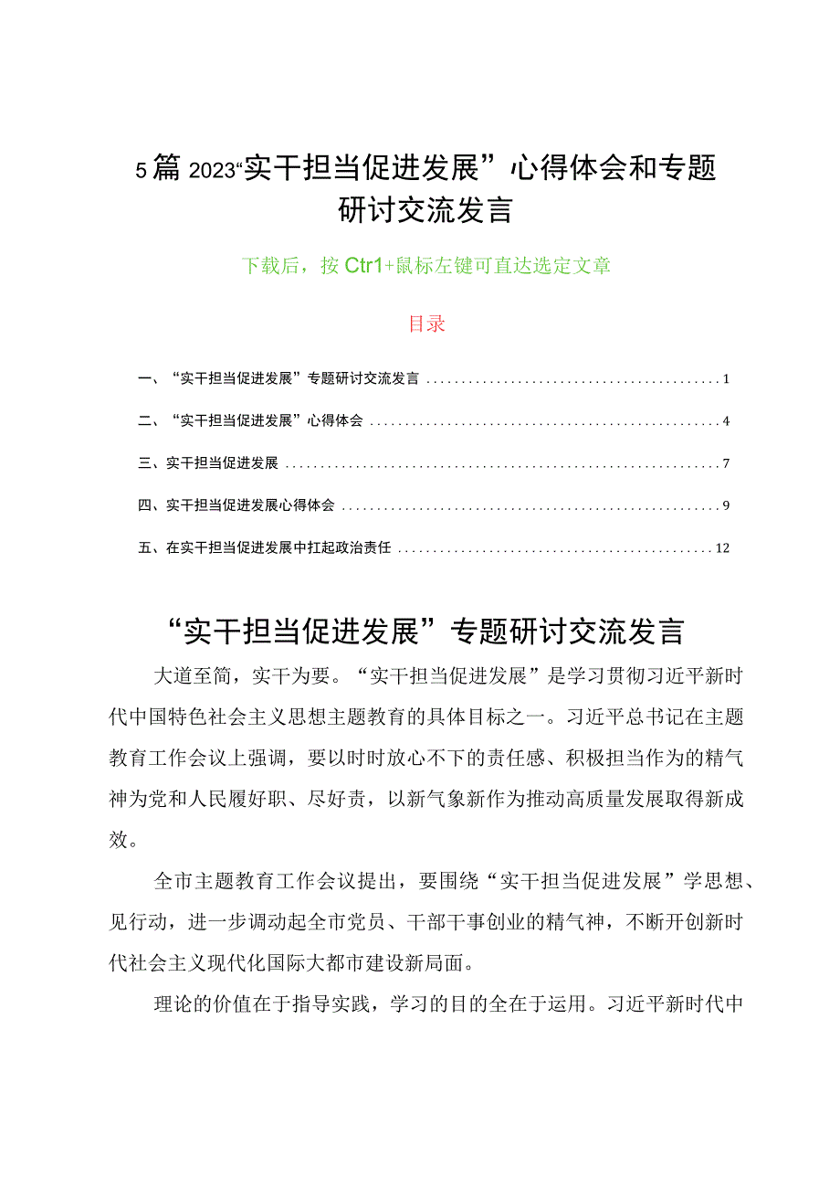 5篇2023“实干担当促进发展”心得体会和专题研讨交流发言.docx_第1页