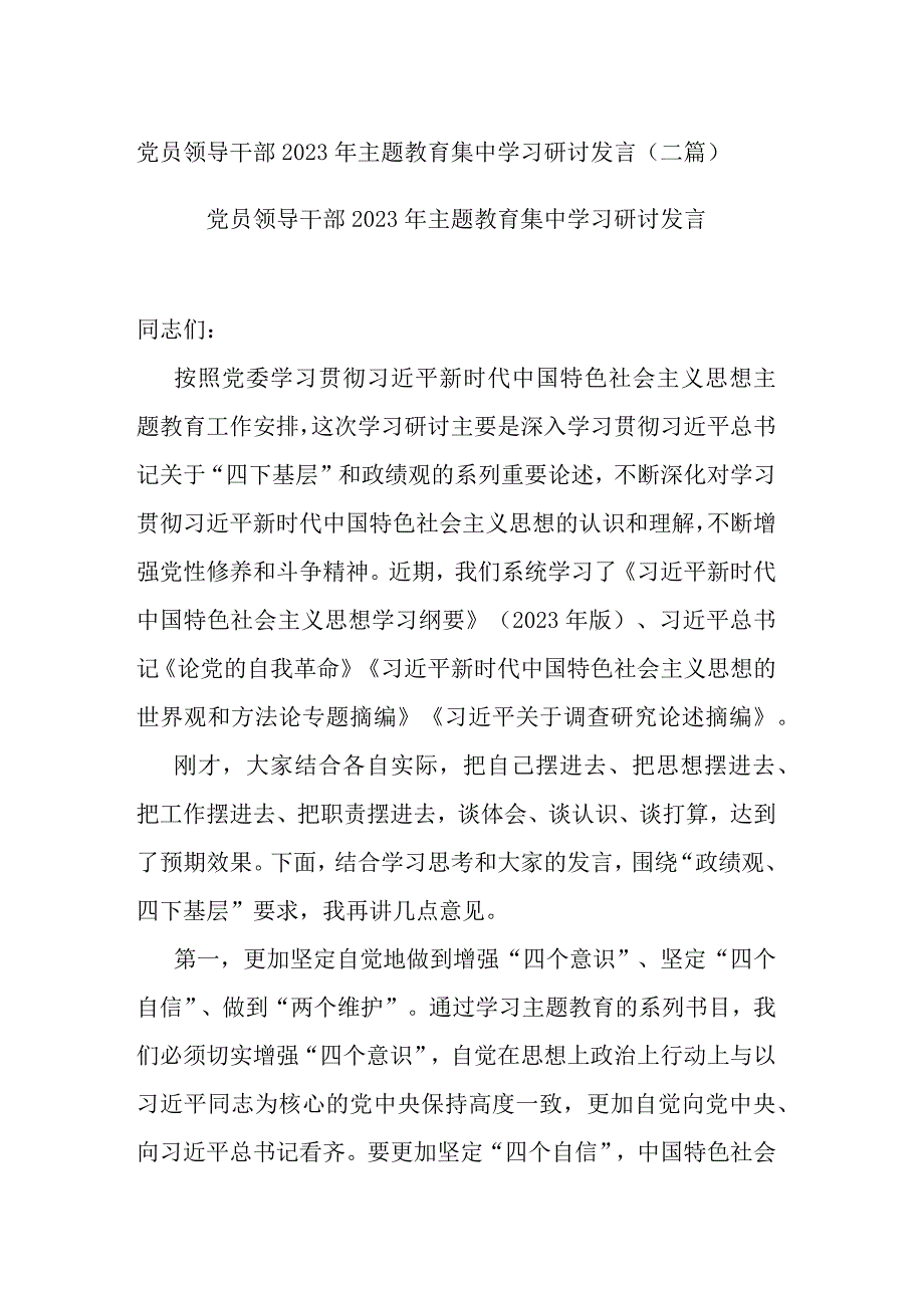 党员领导干部2023年主题教育集中学习研讨发言(二篇).docx_第1页