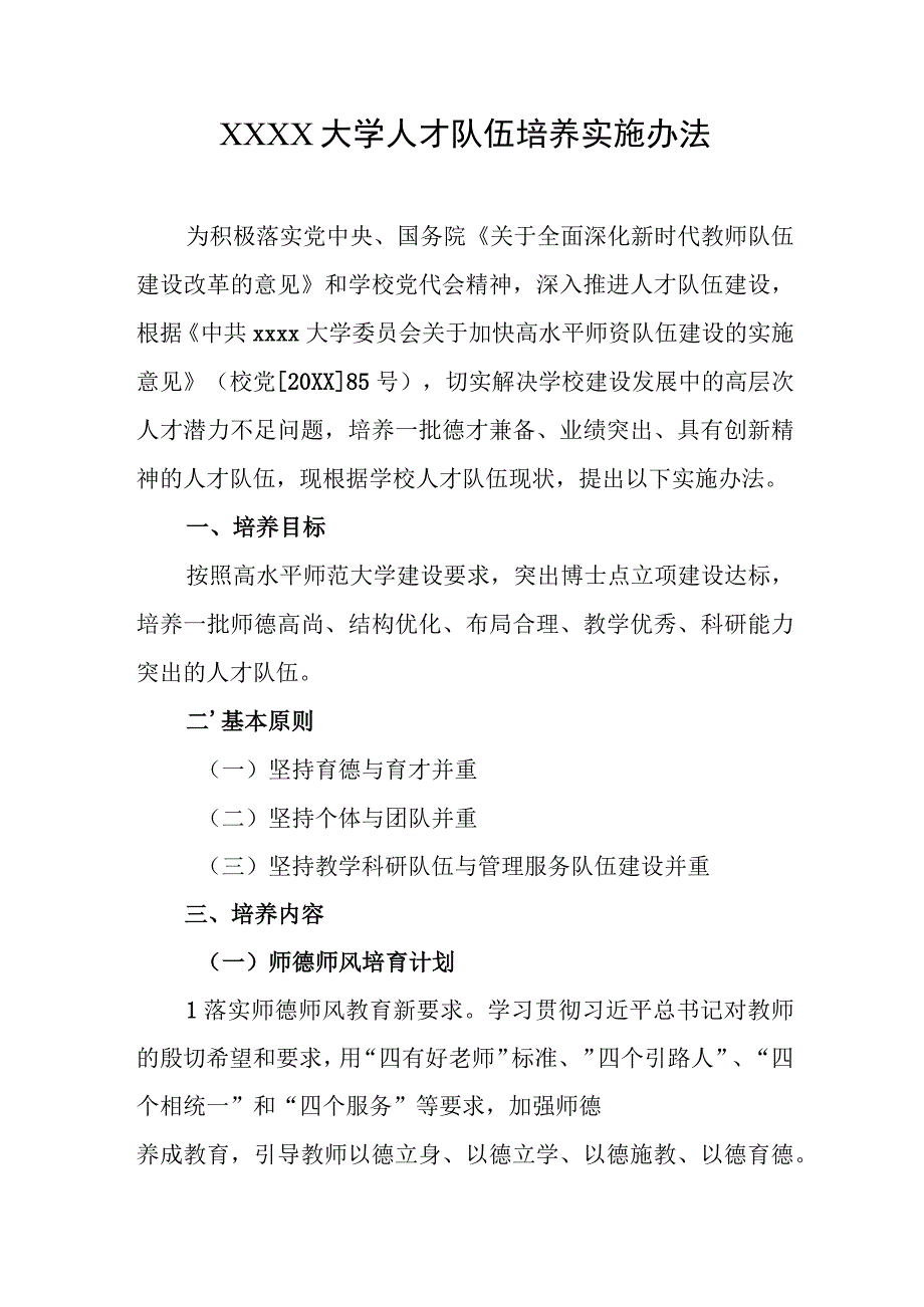 大学人才队伍培养实施办法.docx_第1页