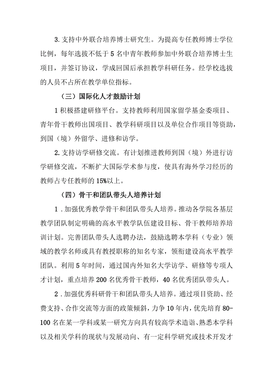 大学人才队伍培养实施办法.docx_第3页