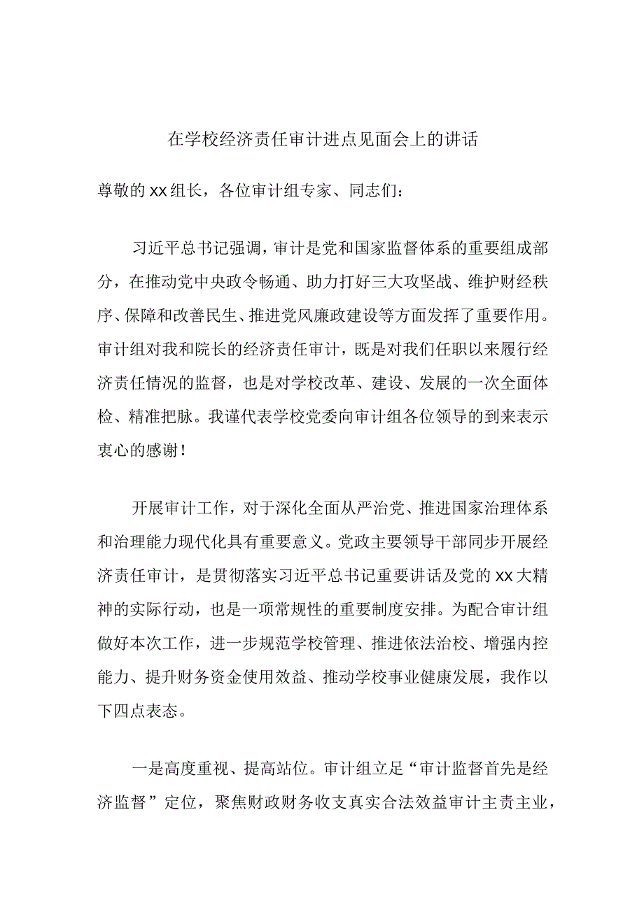 在学校经济责任审计进点见面会上的讲话.docx_第1页