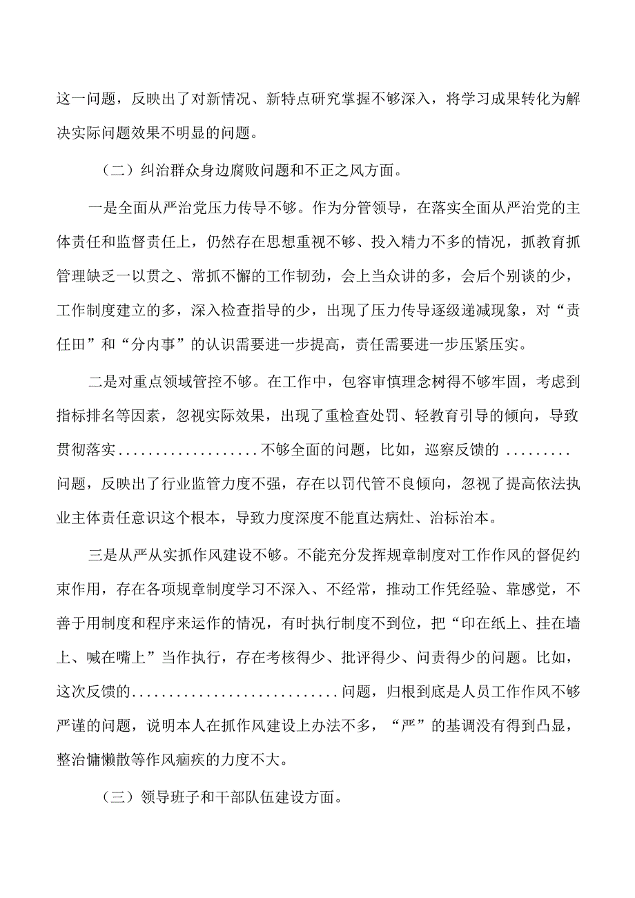 反馈问题个人剖析检查发言提纲.docx_第2页