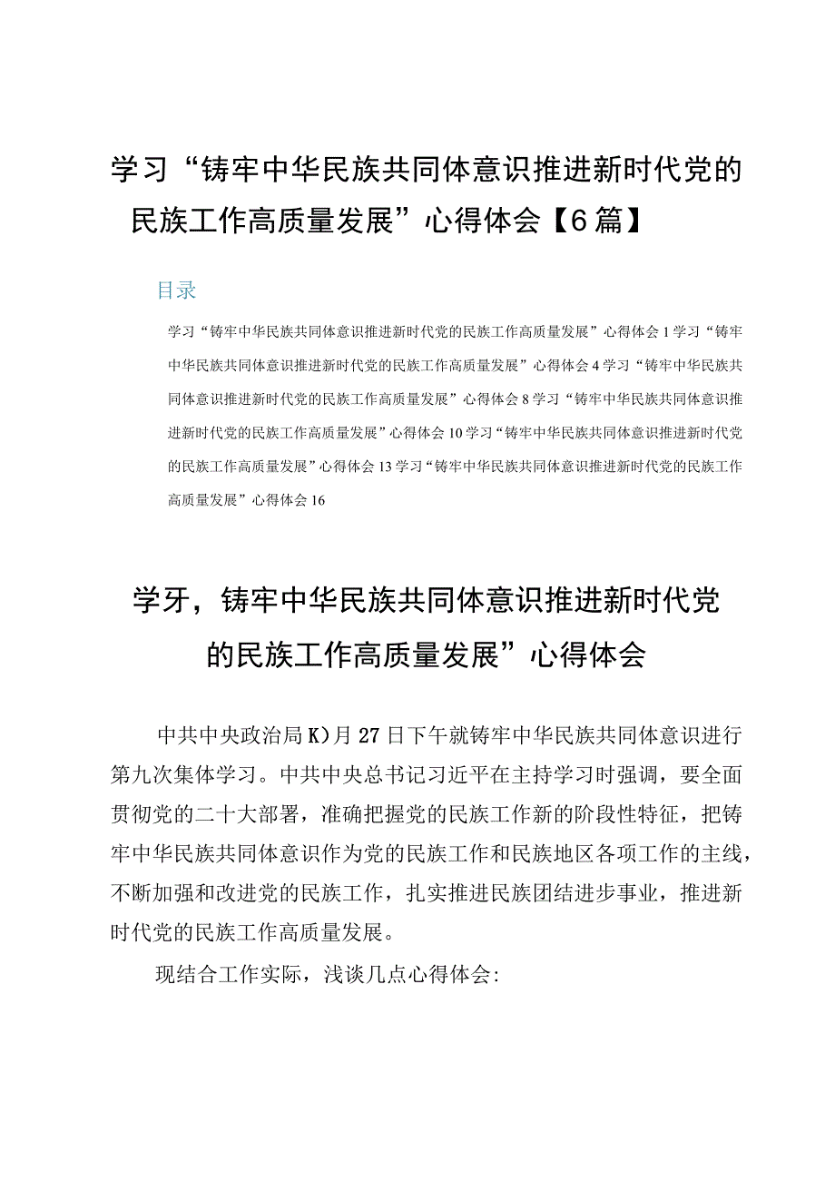 学习“铸牢中华民族共同体意识推进新时代党的民族工作高质量发展”心得体会【6篇】.docx_第1页