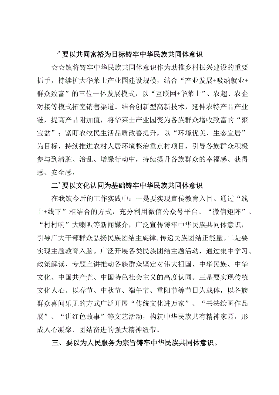 学习“铸牢中华民族共同体意识推进新时代党的民族工作高质量发展”心得体会【6篇】.docx_第2页