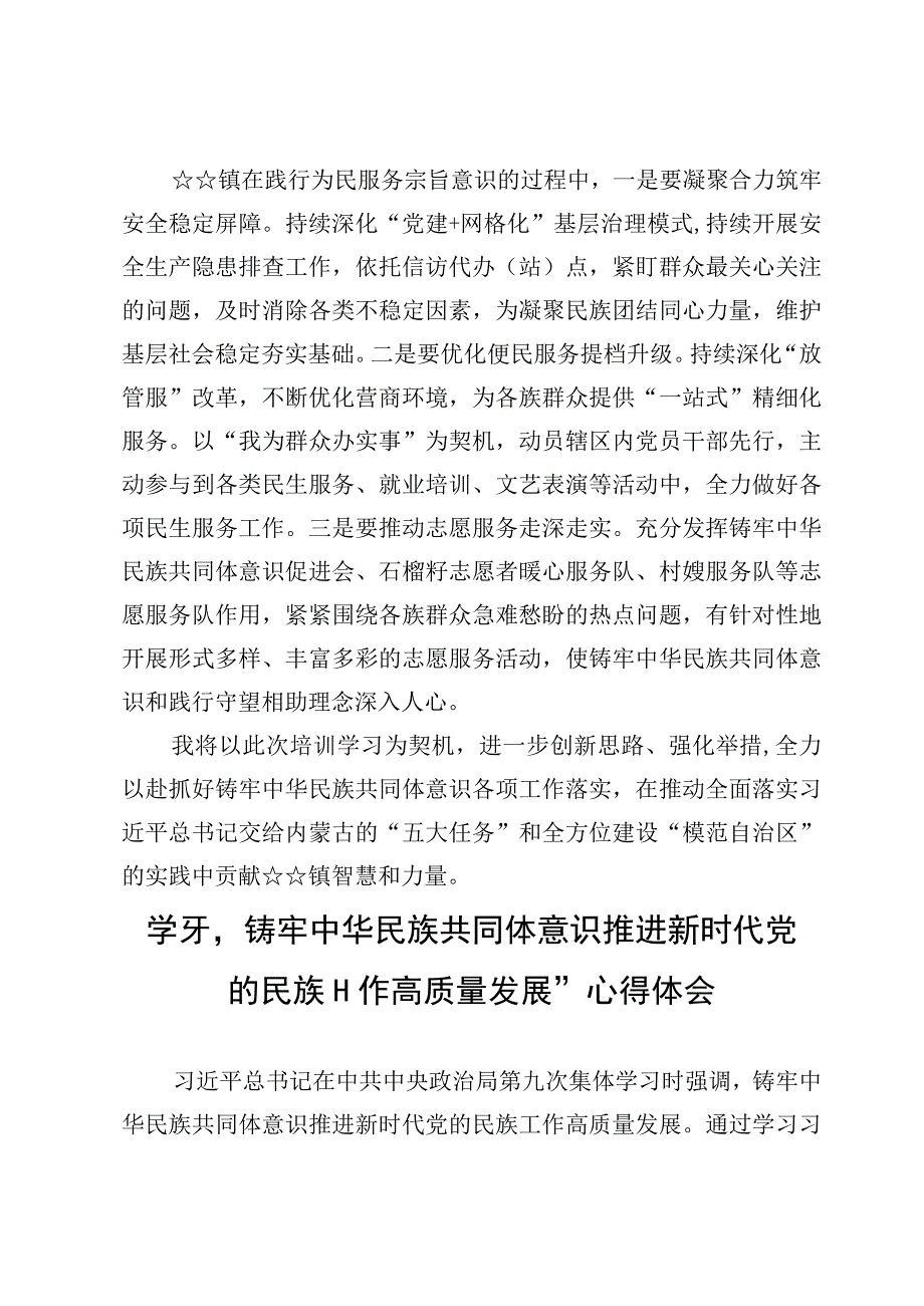 学习“铸牢中华民族共同体意识推进新时代党的民族工作高质量发展”心得体会【6篇】.docx_第3页