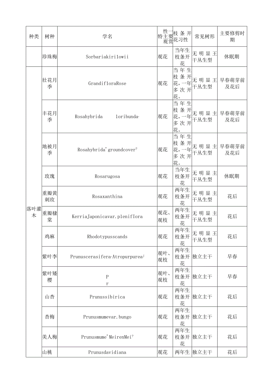 北京地区常见观赏灌木一览表.docx_第2页