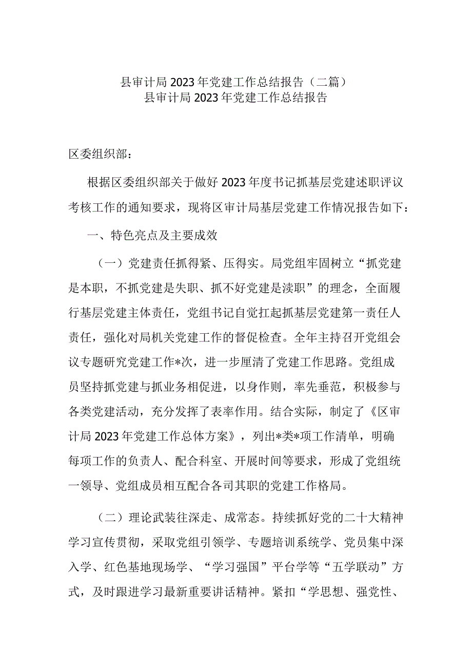 县审计局2023年党建工作总结报告(二篇).docx_第1页