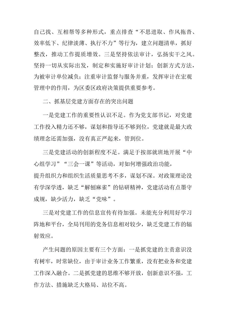 区审计局党支部书记抓基层党建工作述职报告.docx_第3页