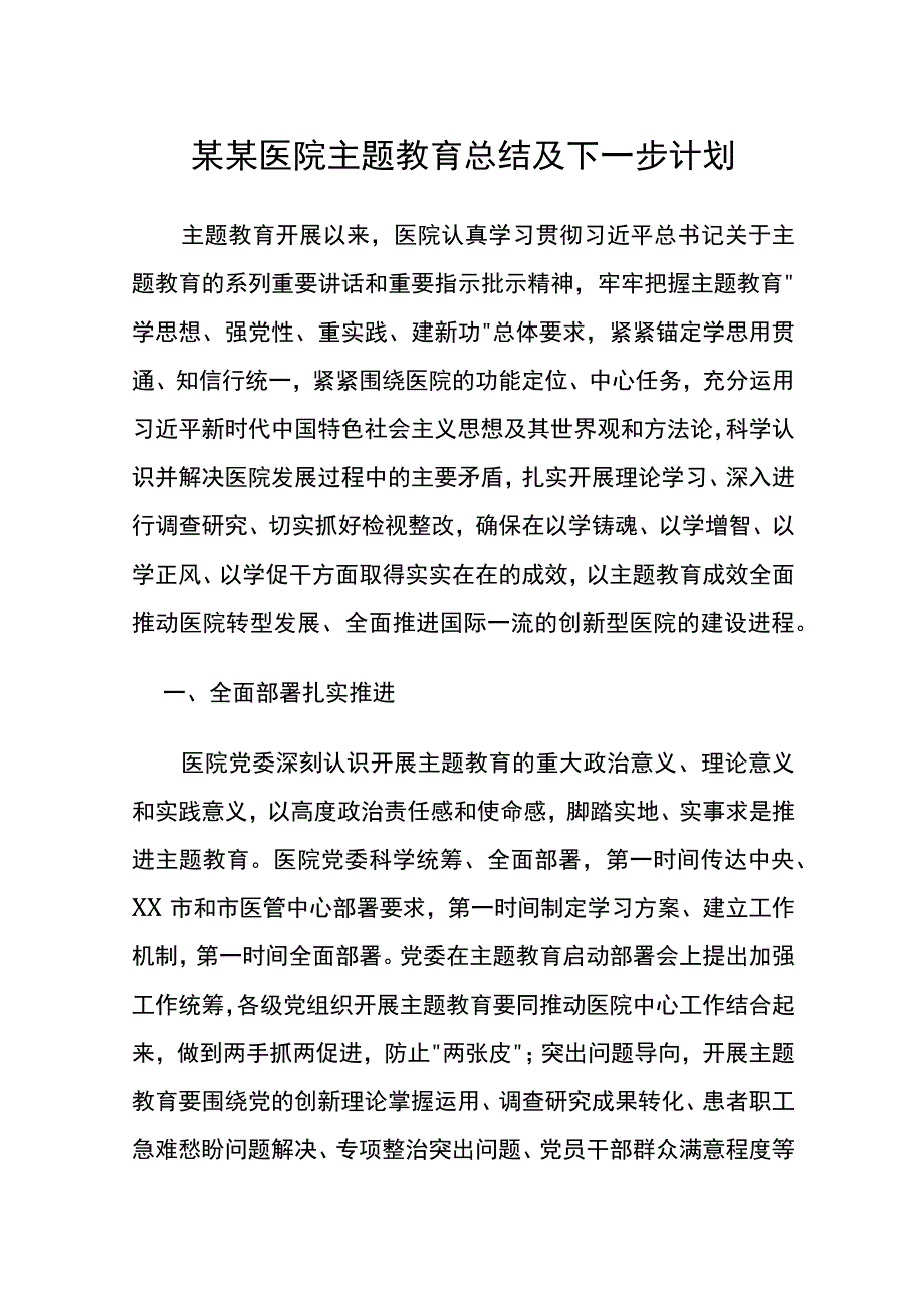 某某医院主题教育总结及下一步计划.docx_第1页