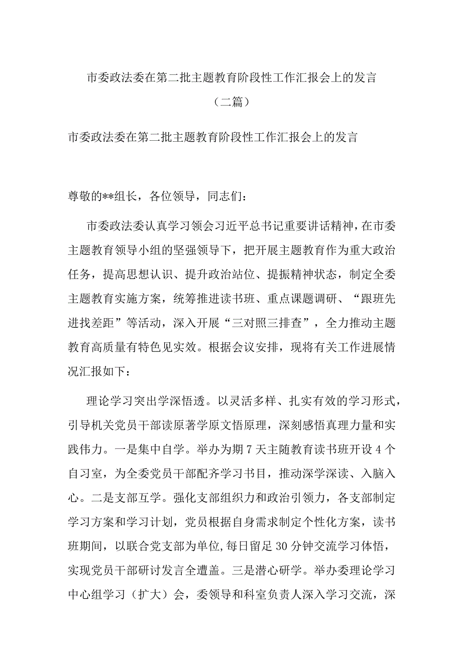 市委政法委在第二批主题教育阶段性工作汇报会上的发言(二篇).docx_第1页