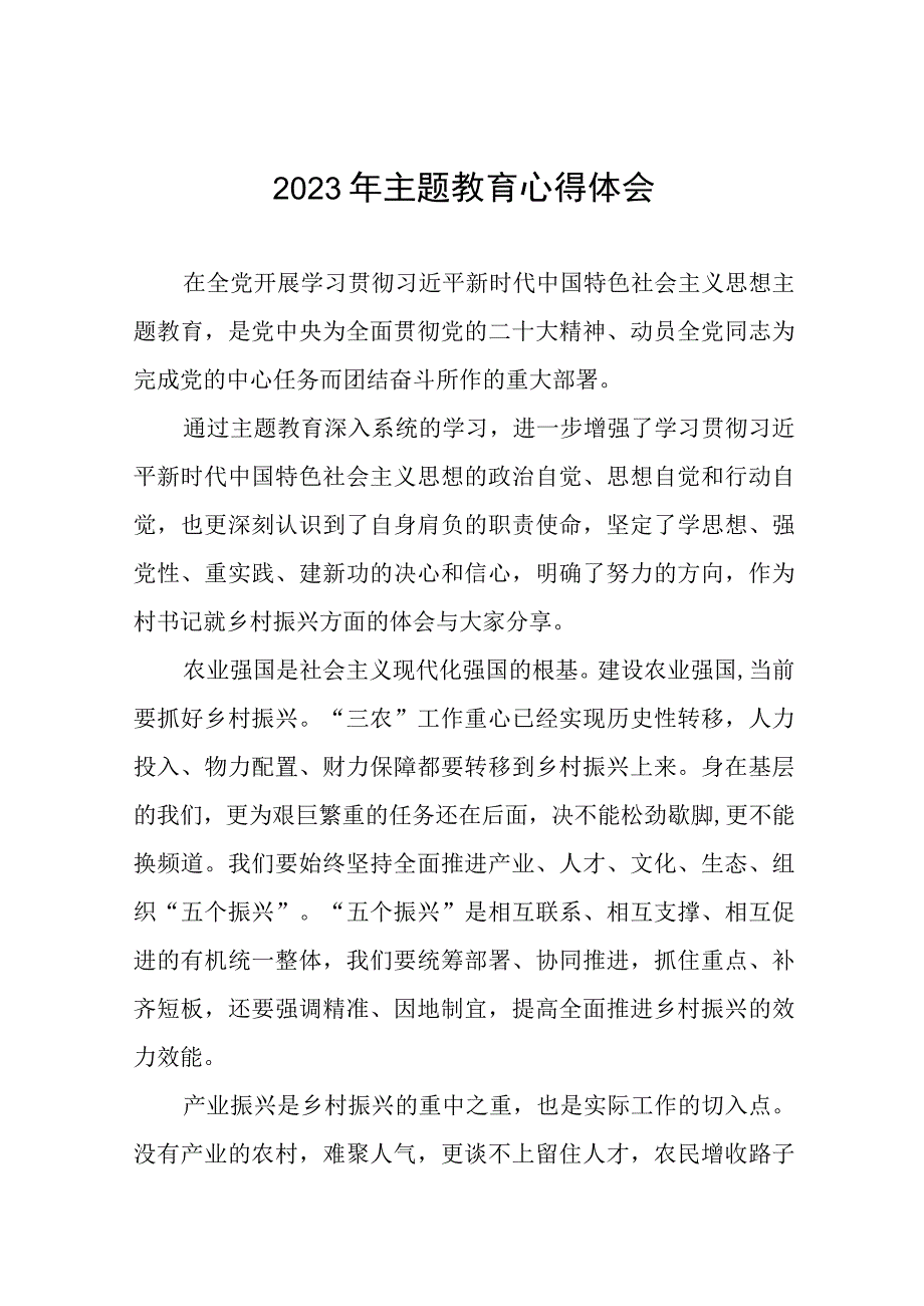 2023年村书记关于第二批主题教育心得体会(九篇).docx_第1页