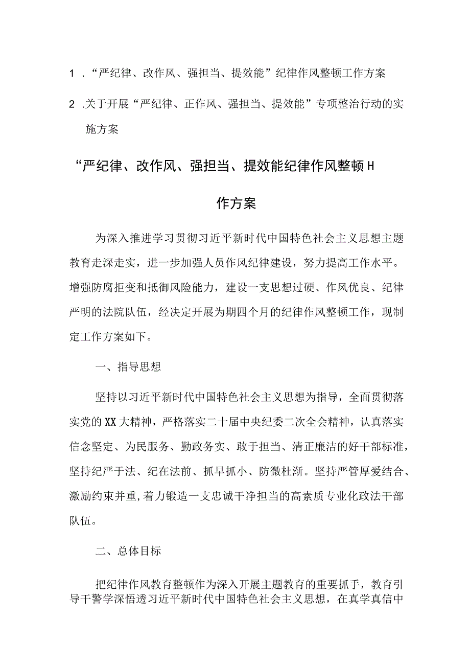 2023年开展“严纪律、正作风、强担当、提效能”专项整治行动的实施方案范文2篇.docx_第1页