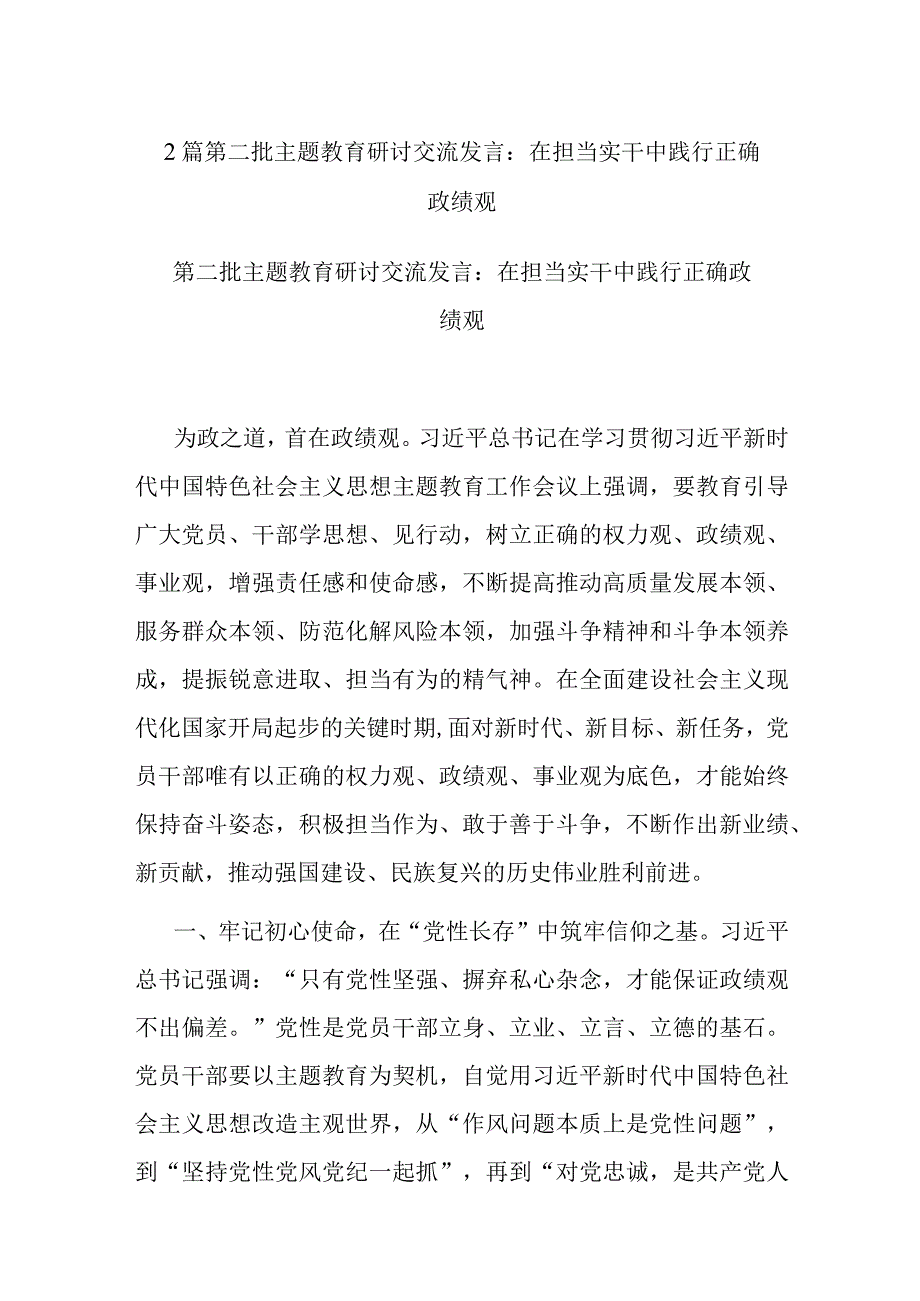 2篇第二批主题教育研讨交流发言：在担当实干中践行正确政绩观.docx_第1页