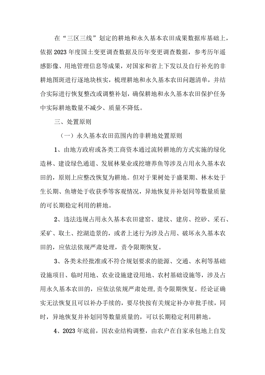 XX县耕地和永久基本农田划定成果核实处置工作实施方案.docx_第2页