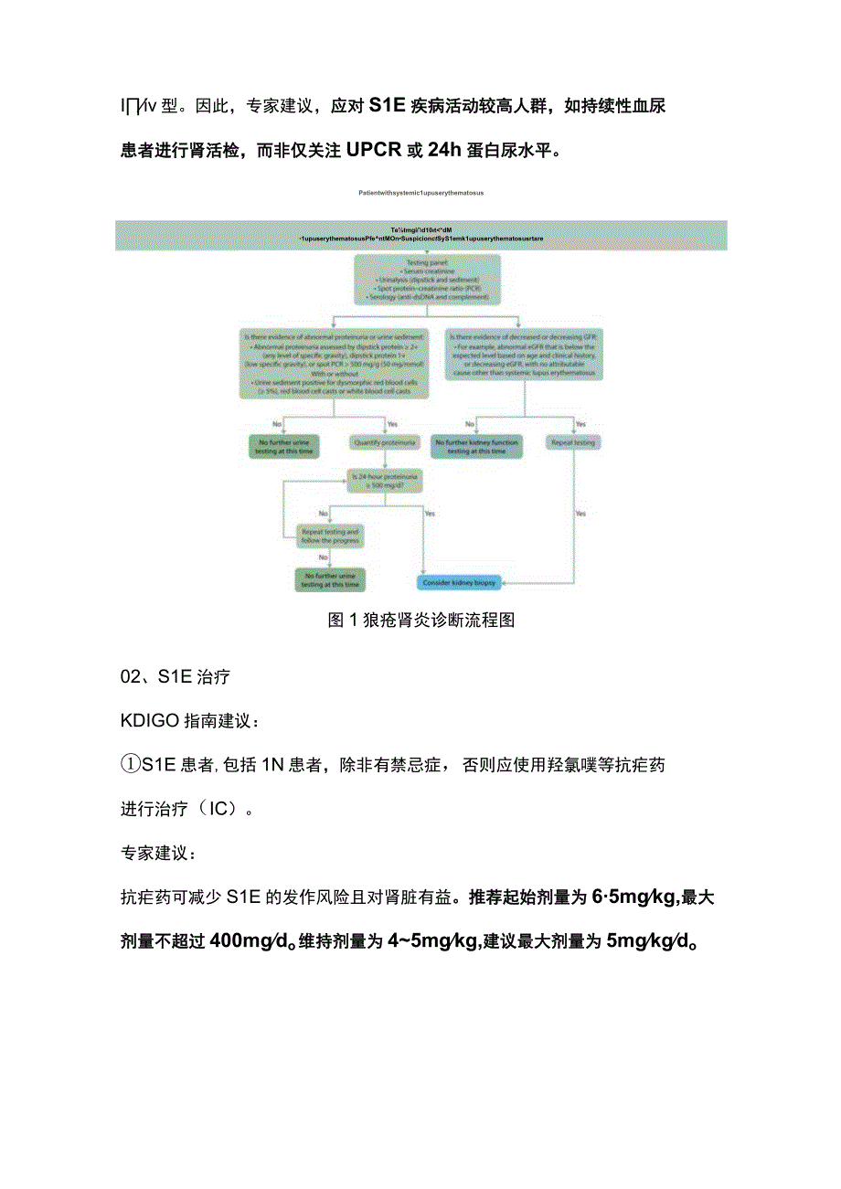 KDIGO肾小球疾病指南中狼疮肾炎的诊疗2024.docx_第2页