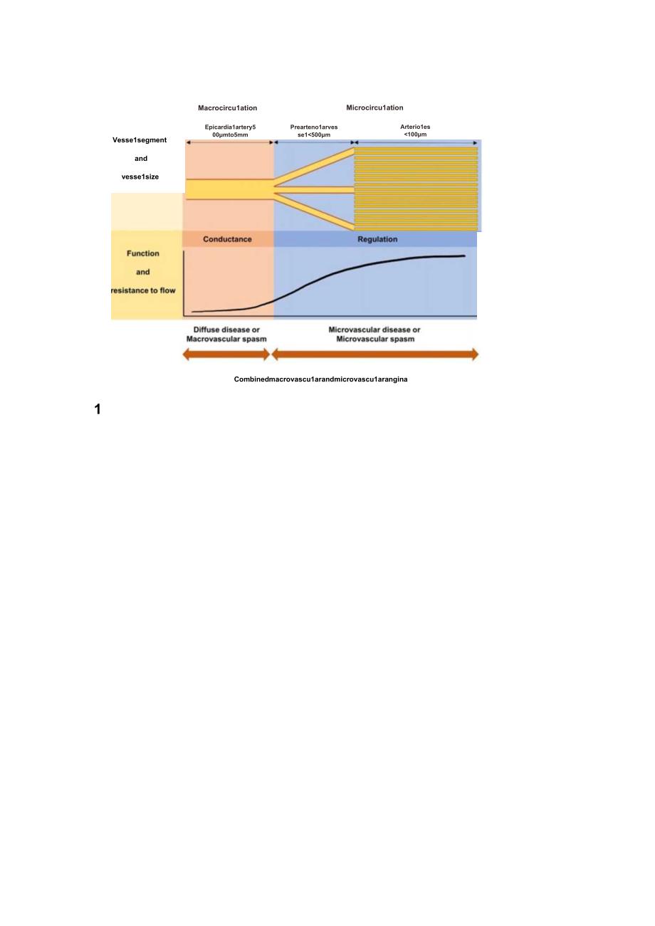 2024缺血伴非阻塞性冠脉疾病INOCA的概念、评估和治疗.docx_第3页