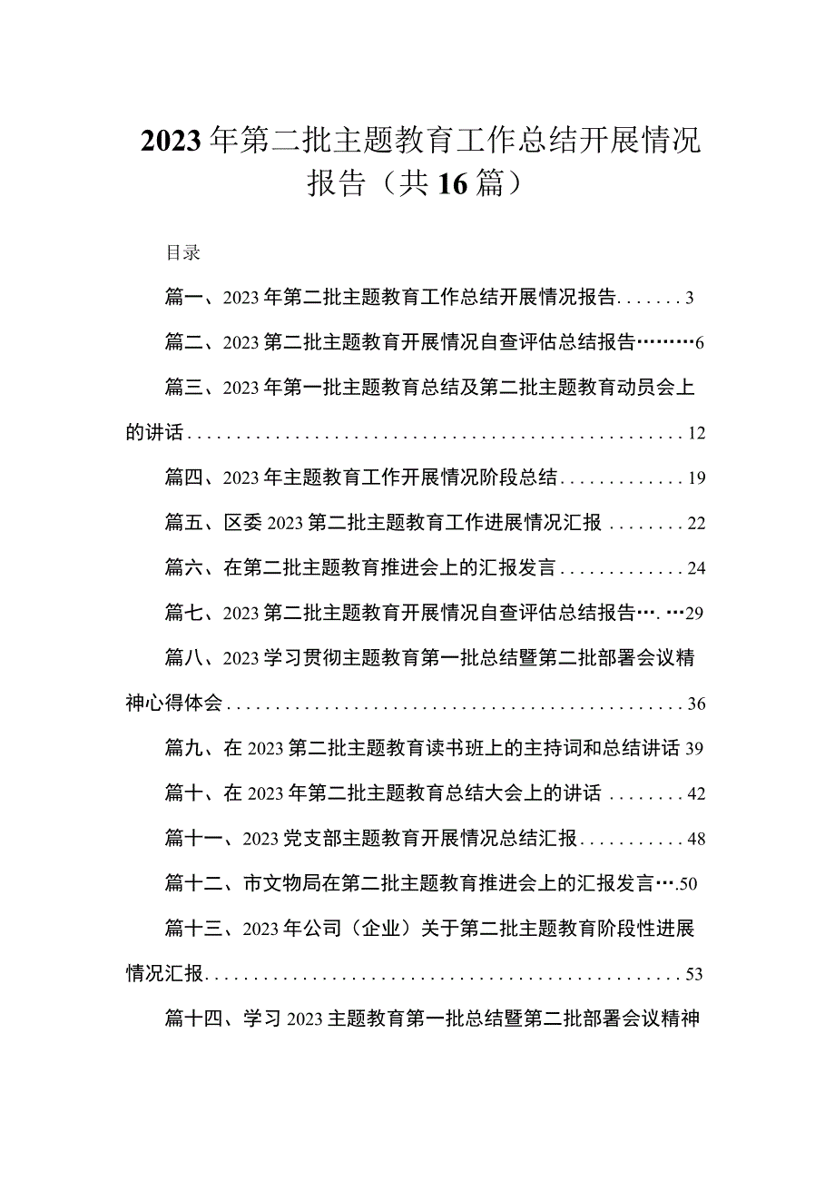 2023年第二批专题教育工作总结开展情况报告精选（参考范文16篇）.docx_第1页