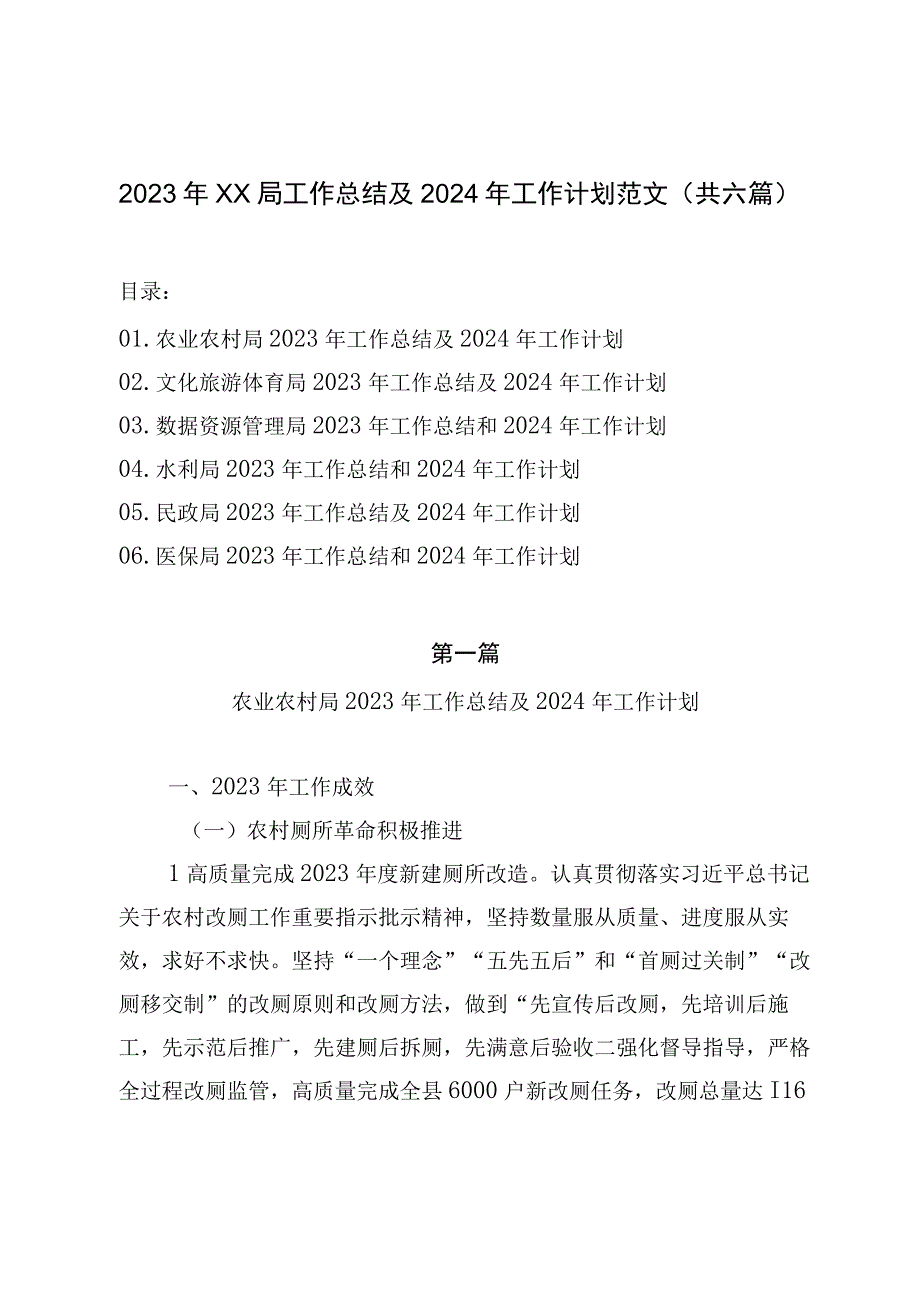 2023年XX局工作总结及2024年工作计划范文（共六篇）.docx_第1页