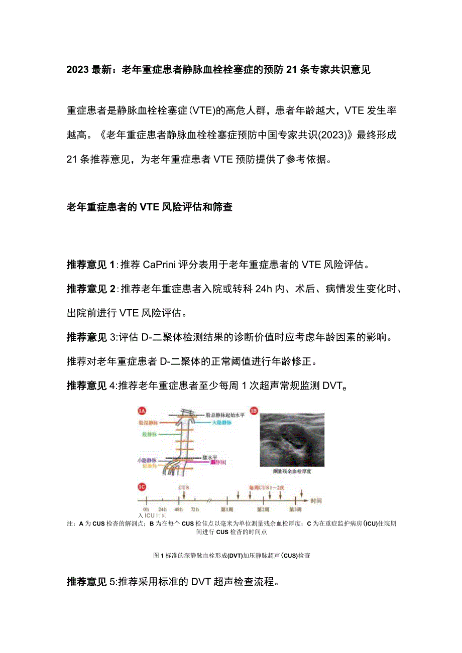 2023最新：老年重症患者静脉血栓栓塞症的预防21条专家共识意见.docx_第1页