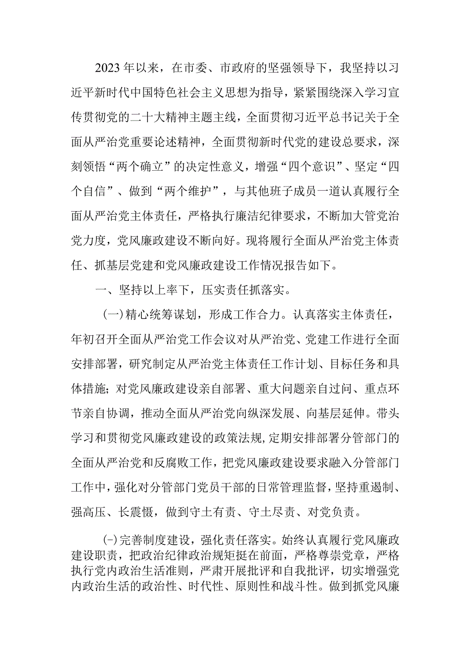 2023年党组织书记落实全面从严治党主体责任、抓基层党建和党风廉政建设工作情况总结.docx_第1页