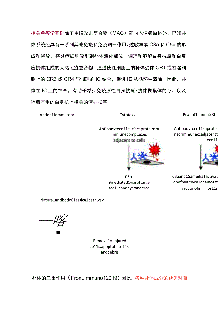 2024补体缺乏介导的自身免疫性疾病.docx_第3页