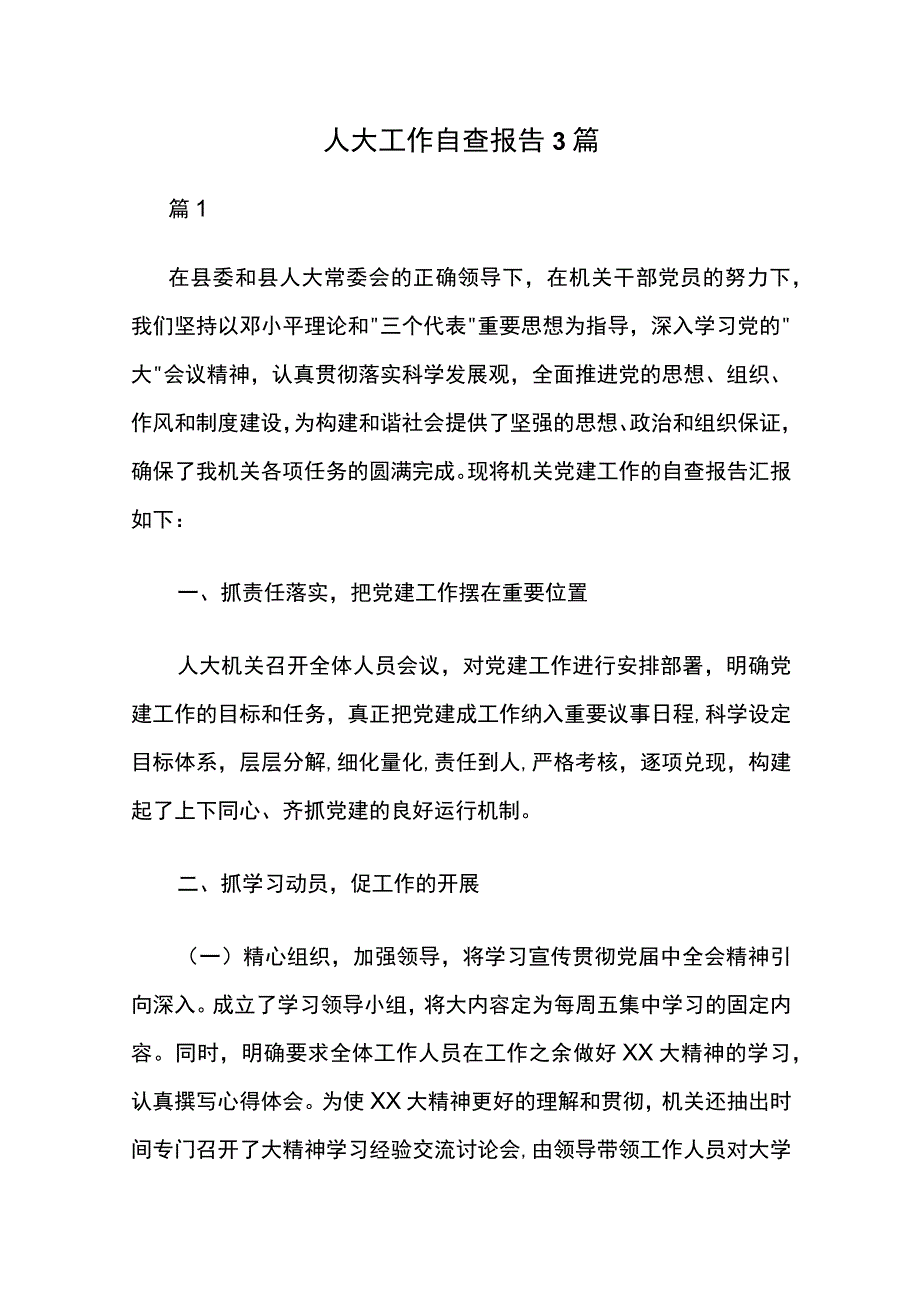 人大工作自查报告3篇.docx_第1页