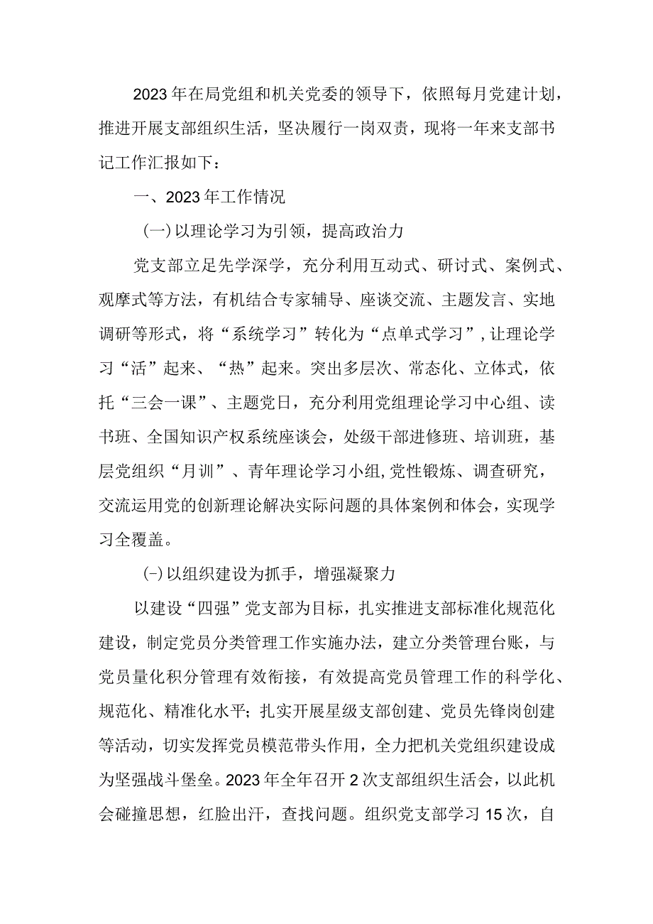 党支部书记2023年度抓基层党建工作述职报告.docx_第1页