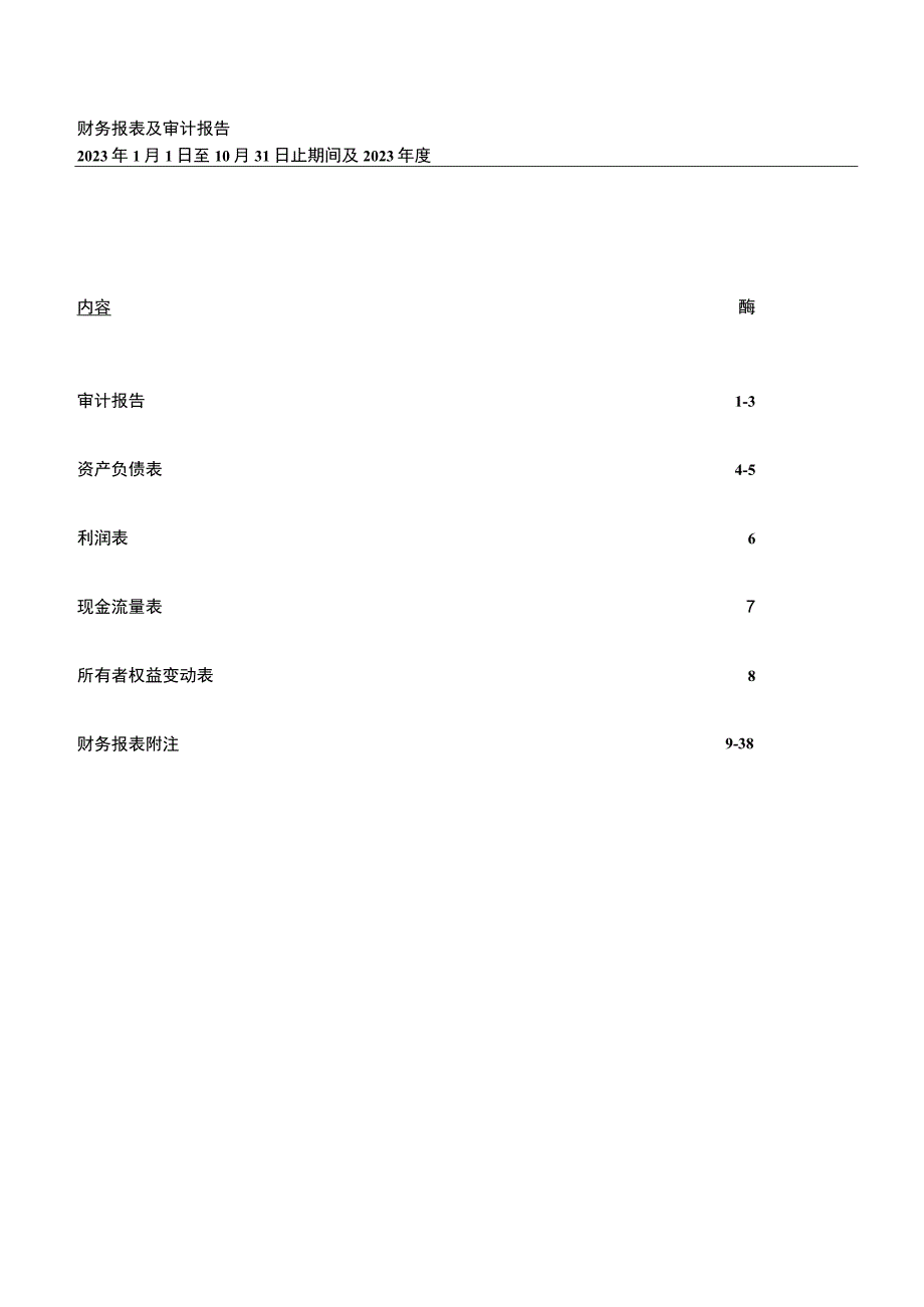 中洲控股：青岛市联顺地产有限公司审计报告.docx_第2页