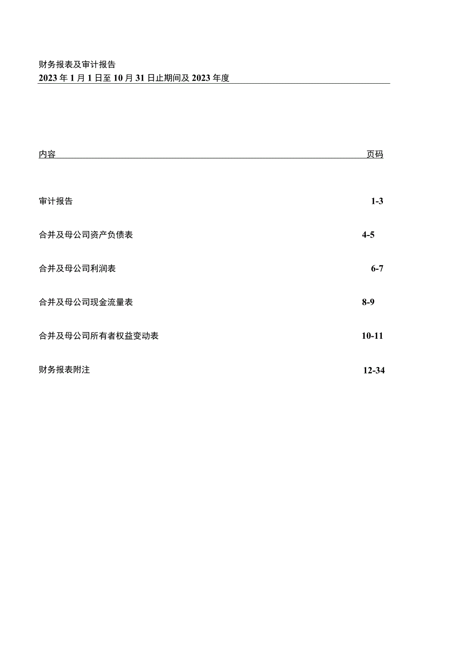 中洲控股：青岛市中洲地产有限公司审计报告(1).docx_第2页