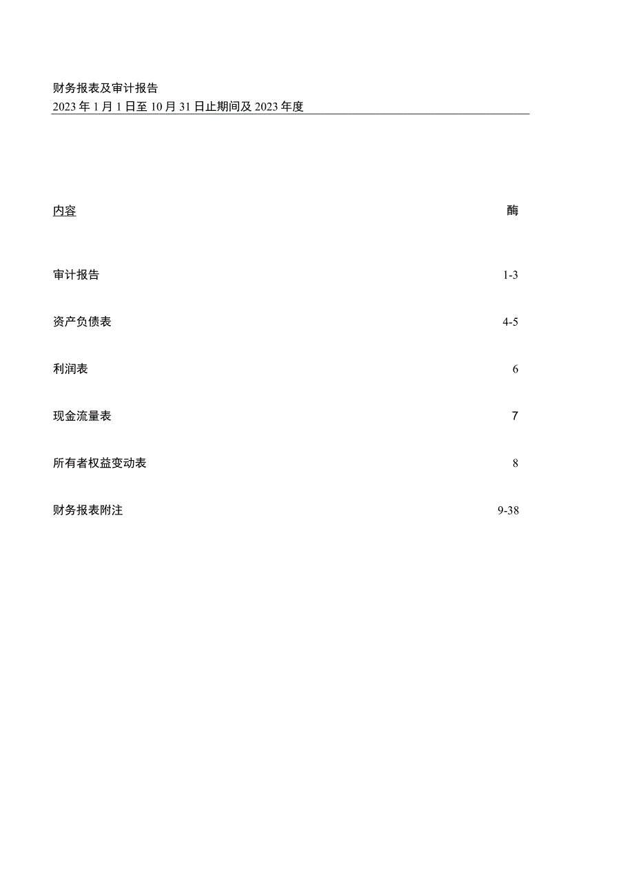 中洲控股：青岛市旺洲置业有限公司审计报告.docx_第2页