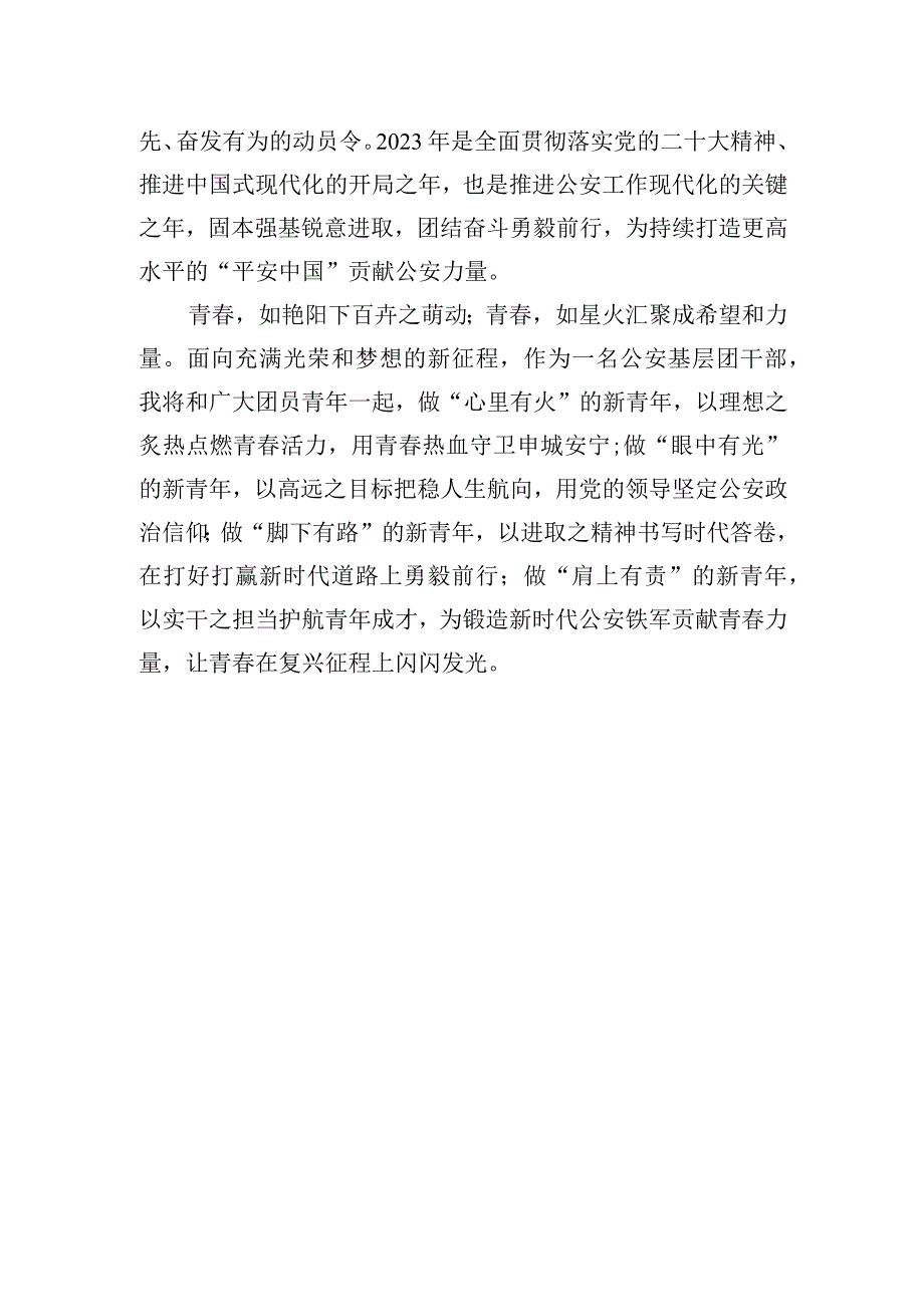 公安基层团干部学习共青团十九大精神心得体会（笔尖耕耘）.docx_第3页