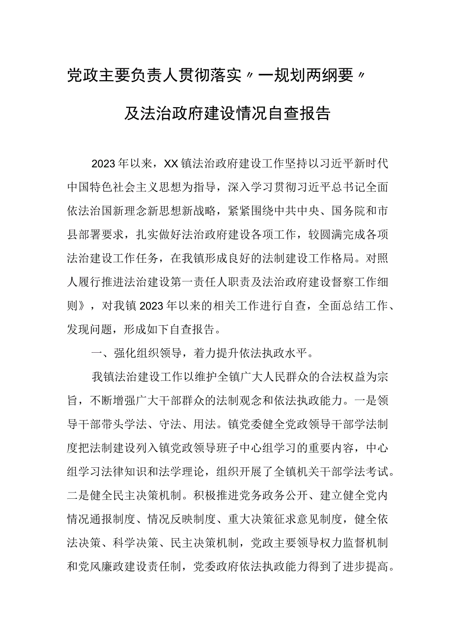 党政主要负责人贯彻落实“一规划两纲要”及法治政府建设情况自查报告.docx_第1页