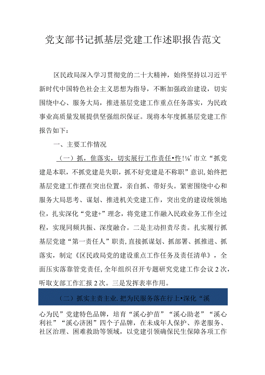 党支部书记抓基层党建工作述职报告范文.docx_第1页