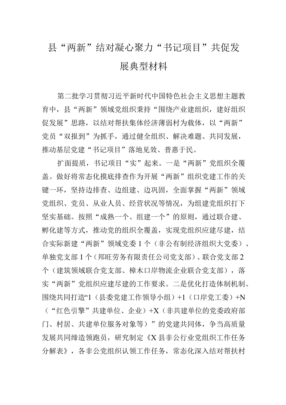 县“两新”结对凝心聚力“书记项目”共促发展典型材料.docx_第1页