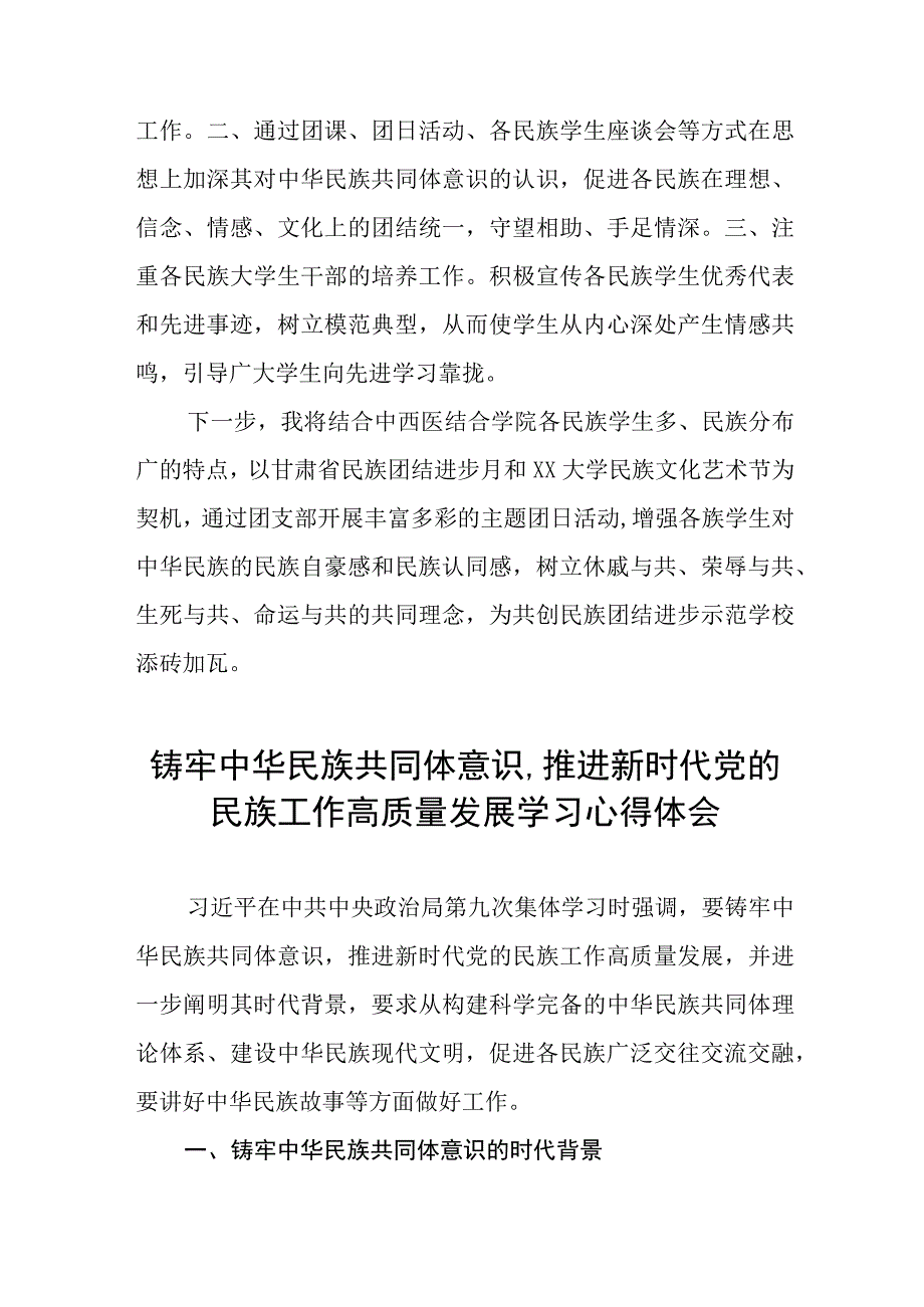 关于学习《铸牢中华民族共同体意识,推进新时代党的民族工作高质量发展》研讨发言九篇.docx_第2页