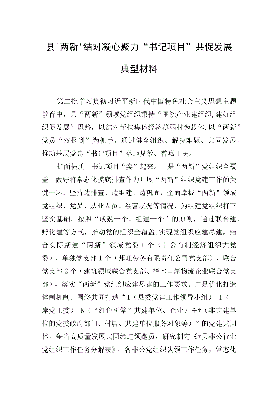 县“两新”结对凝心聚力 “书记项目”共促发展典型材料.docx_第1页